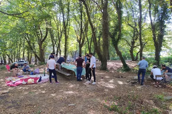 Fatih Ormanı Tabiat Parkı - Resim 9