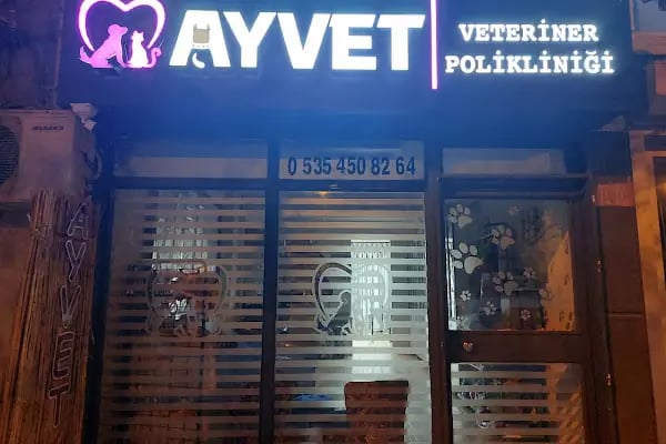 AYVET Veteriner Kliniği - Resim 6