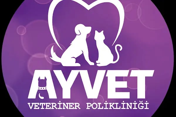 AYVET Veteriner Kliniği - Resim 9