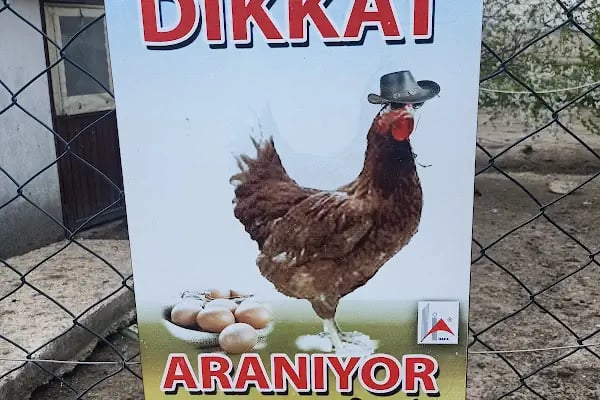 Hafa Dinlenme Tesisleri Edirne-İstanbul - Resim 8