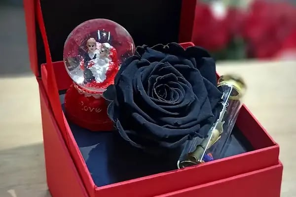 Pembegül Çiçekçilik - Resim 13