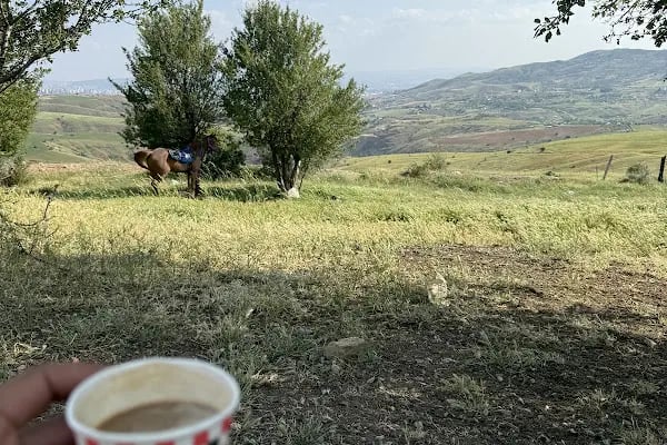 KULA BİNİCİLİK (BAĞLUM-KEÇİÖREN AT ÇİFTLİĞİ) - Resim 10