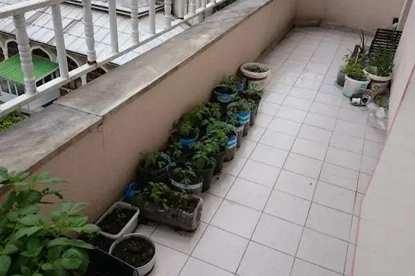 Açelya Çocuk Parkı - Resim 12