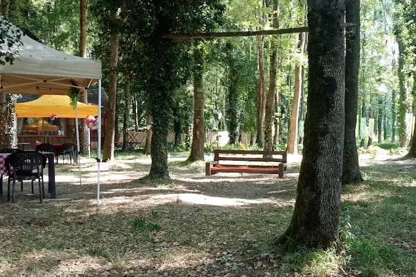 Balbalı Mesire Alanı Restaurant Piknik alanı - Resim 4