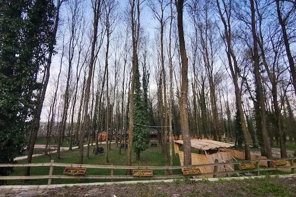 Balbalı Mesire Alanı Restaurant Piknik alanı - Resim 18