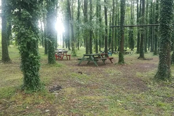 Balbalı Mesire Alanı Restaurant Piknik alanı - Resim 16