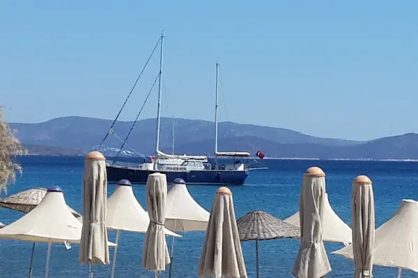 Çıtı Pıtı Meteor2 Beach - Resim 19