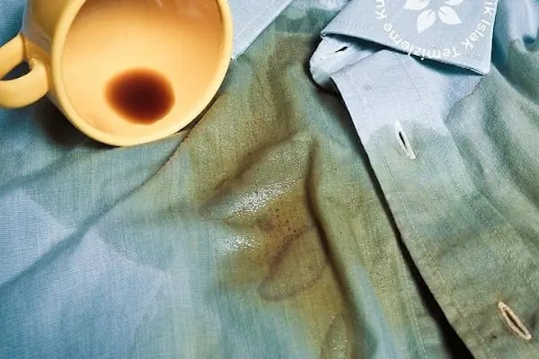 Cleanlux Ödül İstanbul Organik Kuru Temizleme - Resim 7