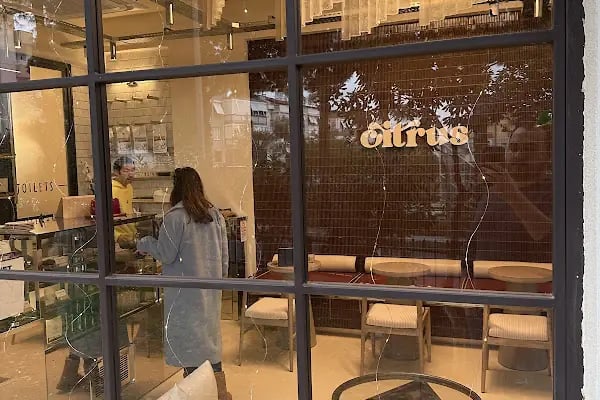 Citrus - Resim 12