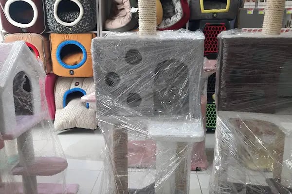 PAŞA PETSHOP MİLLET - Resim 7