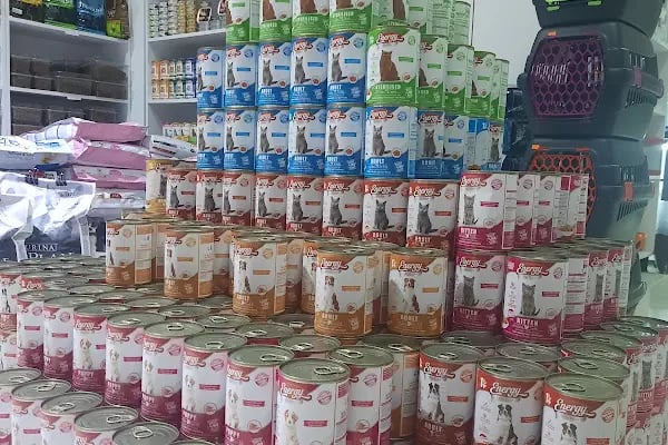 PAŞA PETSHOP MİLLET - Resim 3