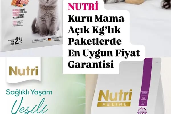 PAŞA PETSHOP MİLLET - Resim 20