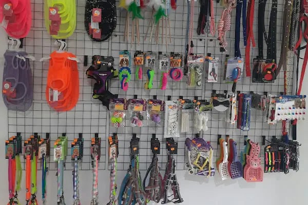 PAŞA PETSHOP MİLLET - Resim 19