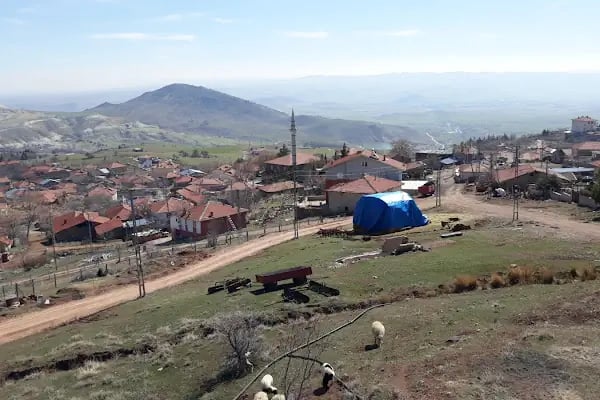 İsa Kaya organik tarım - Resim 2