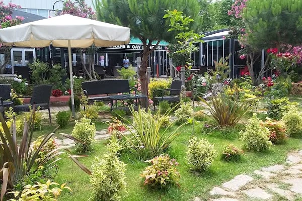 Festival Kafe - Resim 15