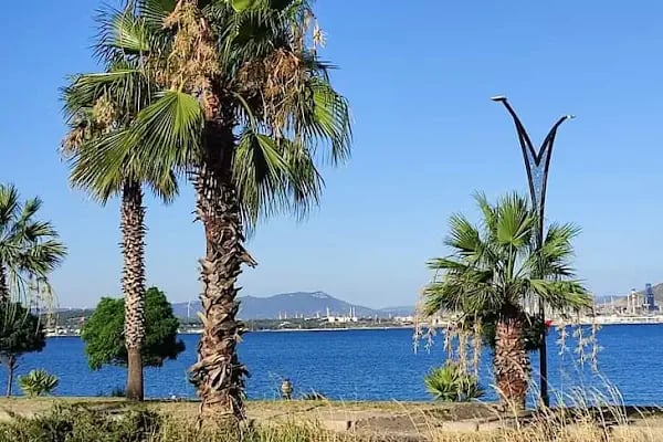 Aliağa İzban - Resim 11