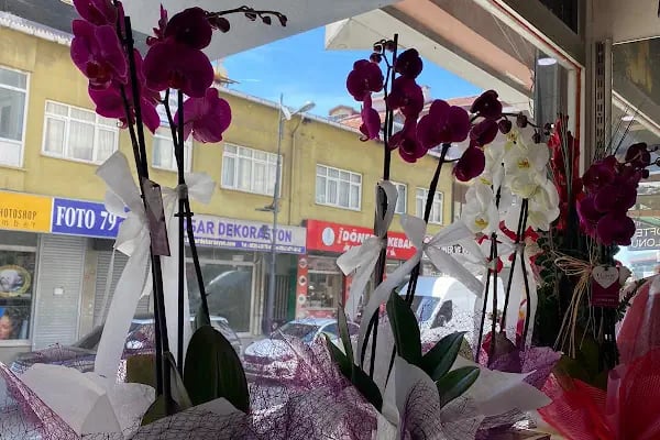 Ivy istanbul Flowers&amp;Cafe - Resim 8