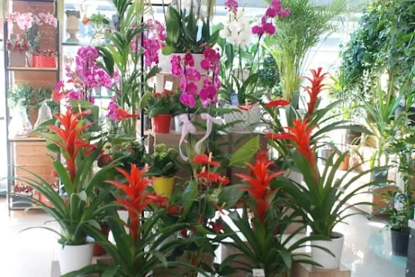 Ivy istanbul Flowers&amp;Cafe - Resim 20