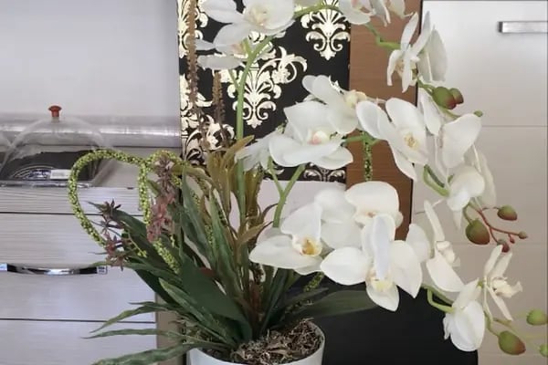 Ivy istanbul Flowers&amp;Cafe - Resim 5