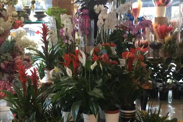 Ivy istanbul Flowers&amp;Cafe - Resim 14