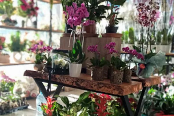 Ivy istanbul Flowers&amp;Cafe - Resim 17