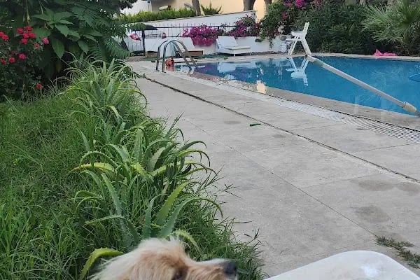 Aras Kargo Turgutreis Şubesi - Resim 13