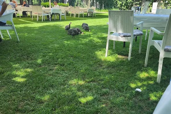 Kavaklı Restaurant - Resim 5