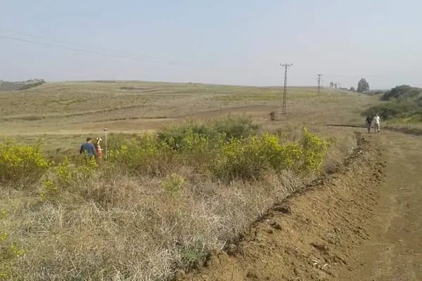 Ceyhan Organize Sanayi Bölgesi - Resim 2