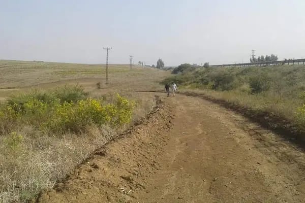 Ceyhan Organize Sanayi Bölgesi - Resim 16