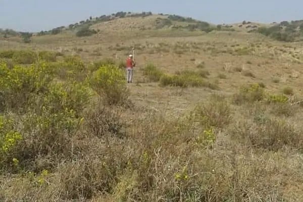 Ceyhan Organize Sanayi Bölgesi - Resim 13
