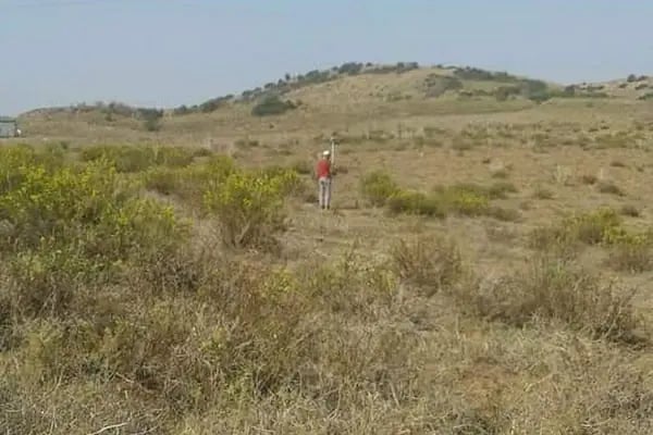 Ceyhan Organize Sanayi Bölgesi - Resim 20