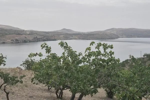 Erenköy Muhtarlığı - Resim 6