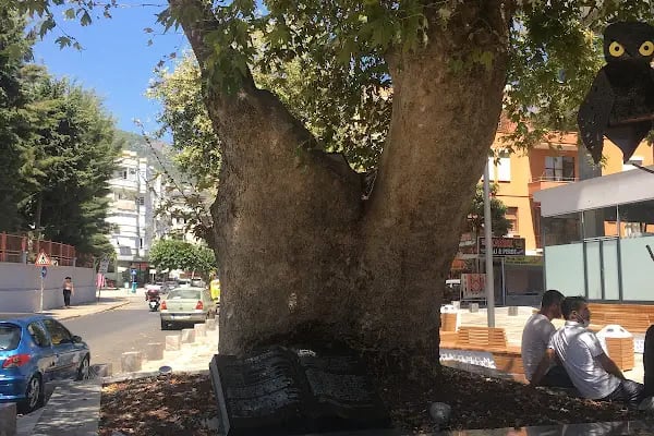Alanya Belediyesi Hacet Parkı - Resim 4