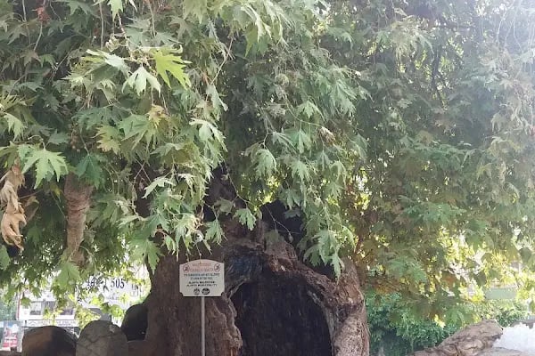 Alanya Belediyesi Hacet Parkı - Resim 7