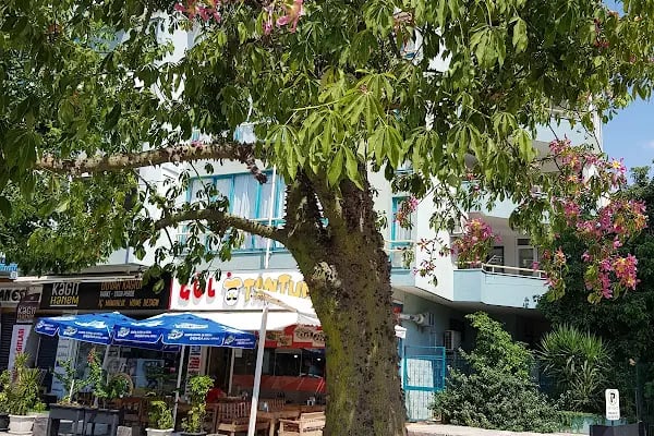 Alanya Belediyesi Hacet Parkı - Resim 11