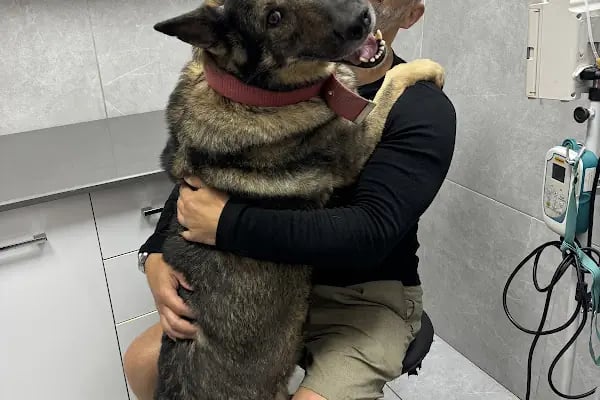 Birlik Veteriner Kliniği - Resim 6