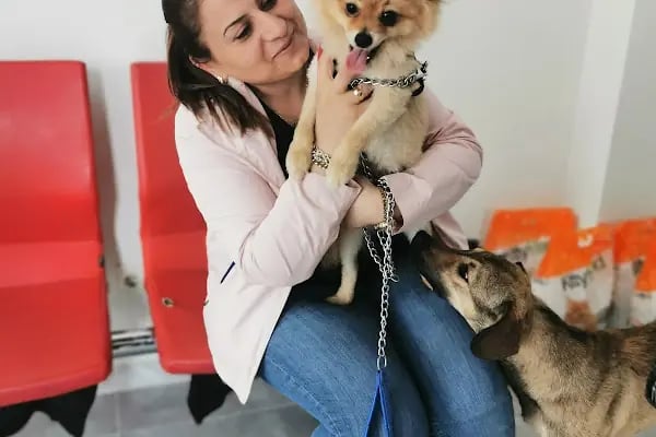 Birlik Veteriner Kliniği - Resim 19