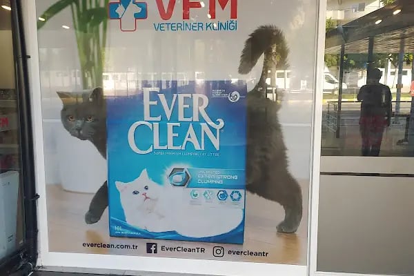 VFM Hayvan Hastanesi - Resim 14