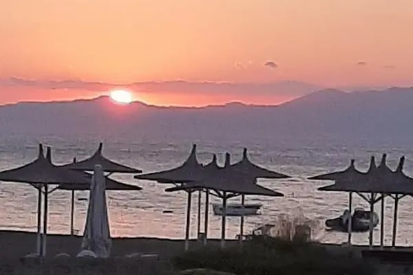 Martı Koyu - Resim 9