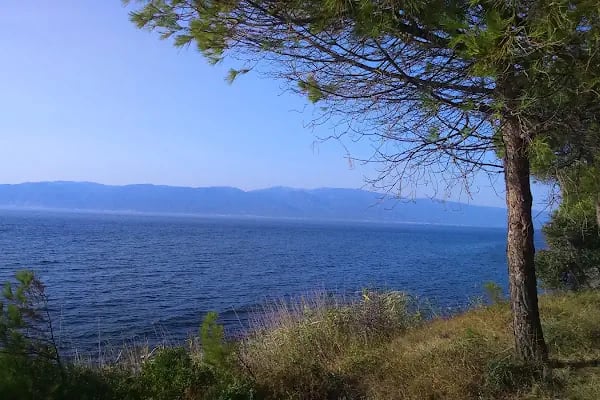 Martı Koyu - Resim 5