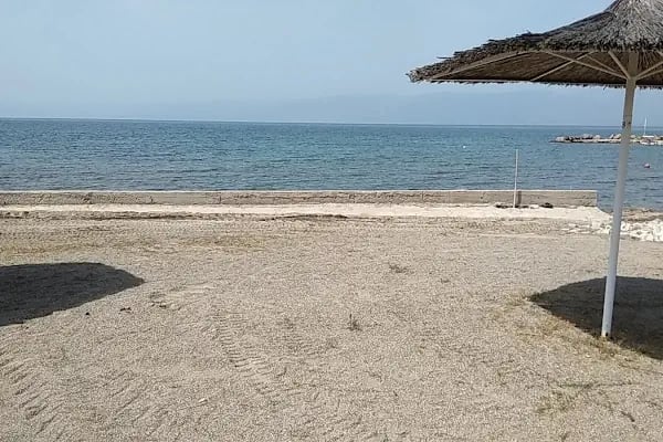 Martı Koyu - Resim 1