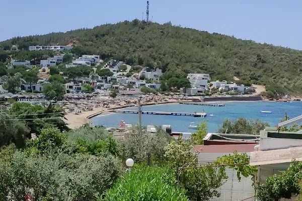 Martı Koyu - Resim 2