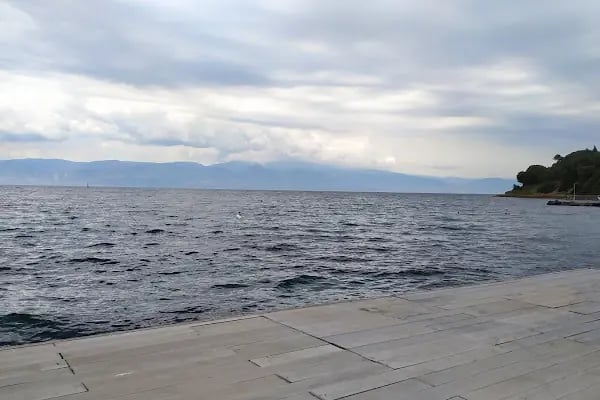 Martı Koyu - Resim 11