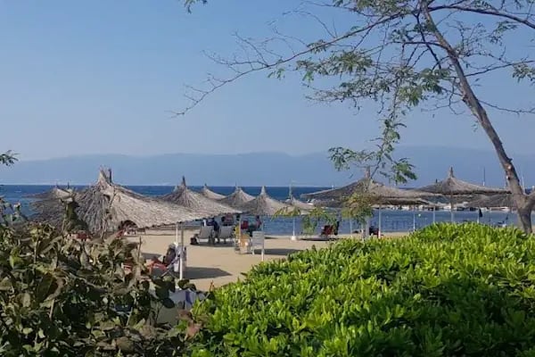 Martı Koyu - Resim 4