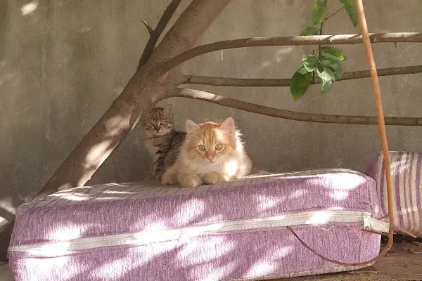 Güngören Deprem Parkı - Resim 12