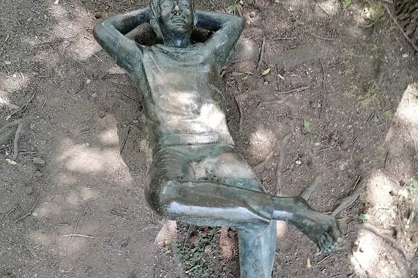 Ang Vakfı Nezahat Gökyiğit Botanik Bahçesi - Resim 20