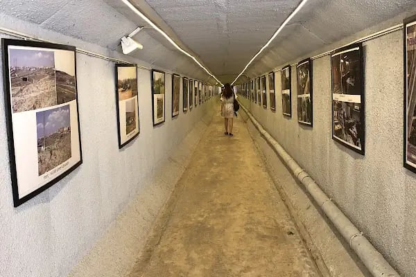 Ang Vakfı Nezahat Gökyiğit Botanik Bahçesi - Resim 13