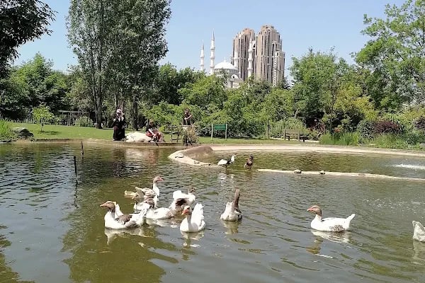 Ang Vakfı Nezahat Gökyiğit Botanik Bahçesi - Resim 2