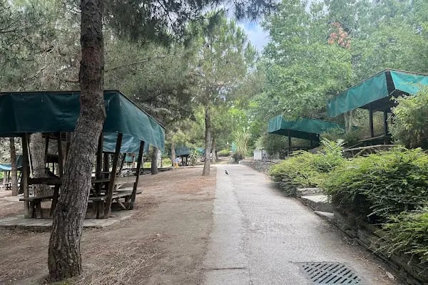 Ang Vakfı Nezahat Gökyiğit Botanik Bahçesi - Resim 5