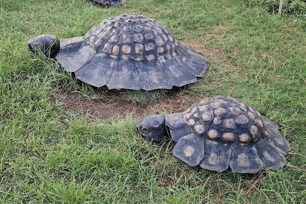 Alanya Belediye Parkı - Resim 6